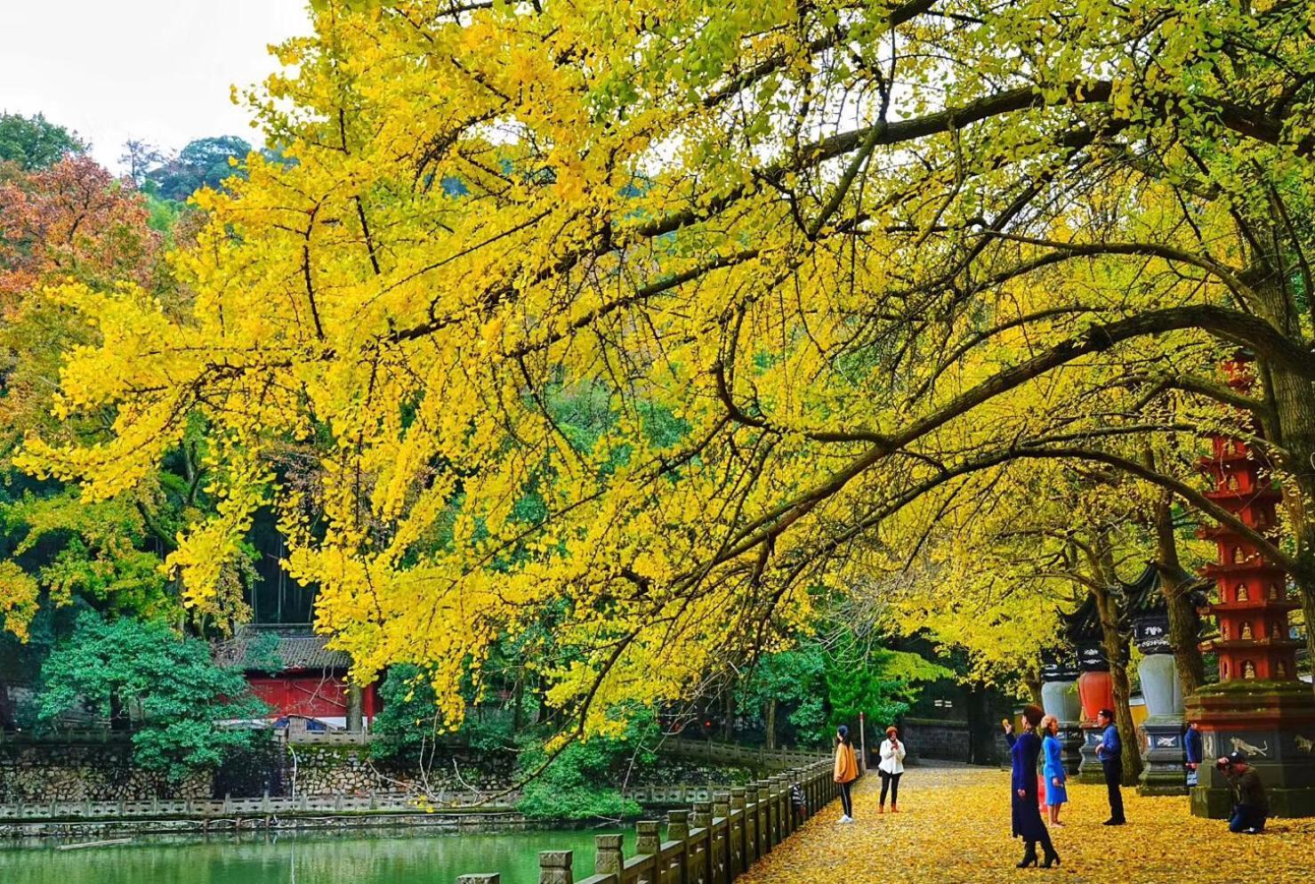 Shangri-La Ningbo - The Three Rivers Intersection Hotel Luaran gambar